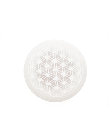 FLEUR DE VIE SELENITE 12CM